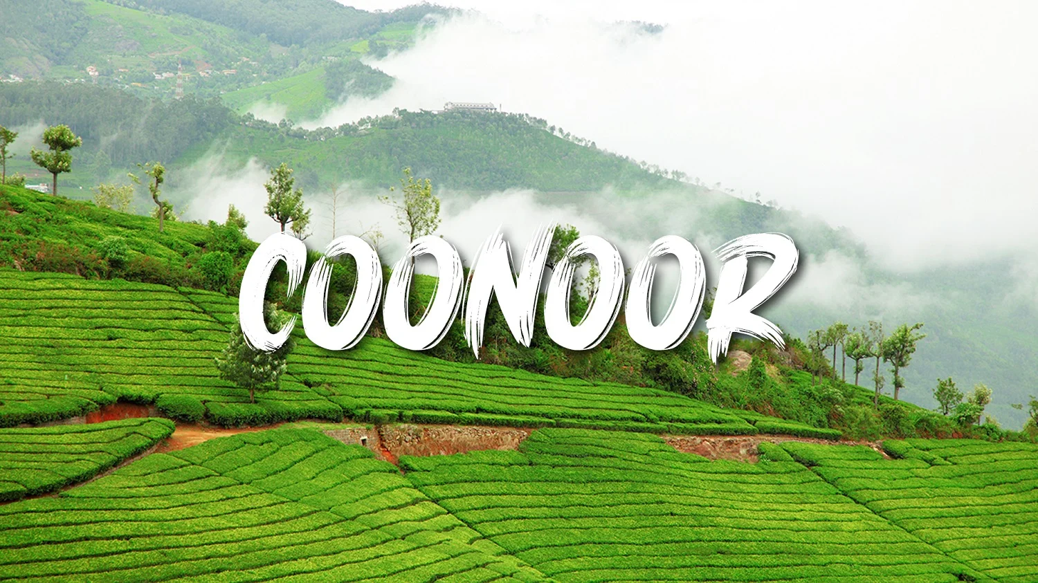 coonoor