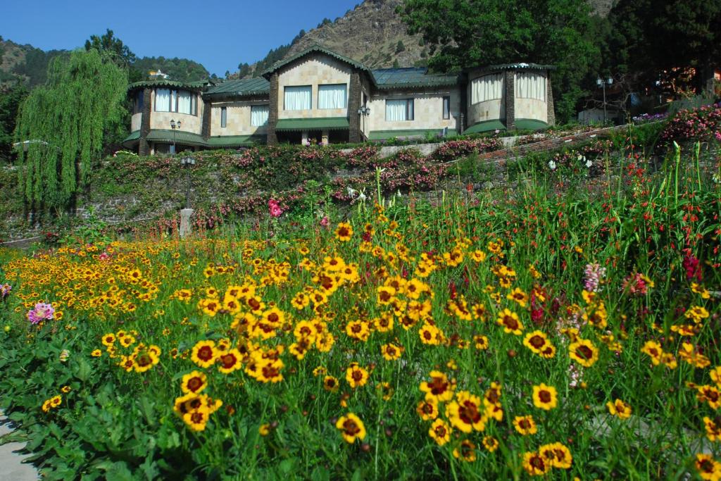 Shervani Hilltop Nainital