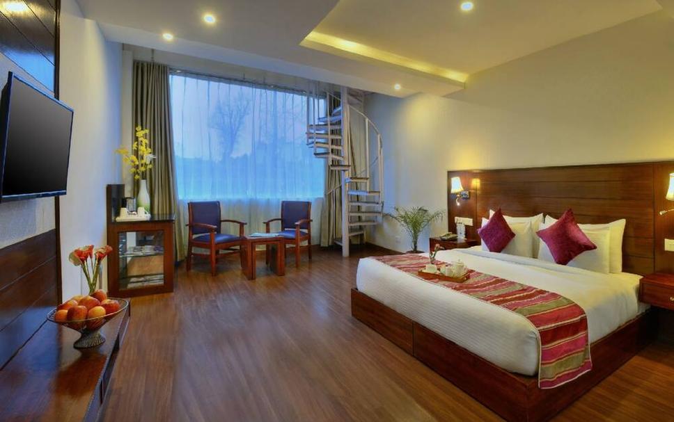 Treehouse Chail Villas