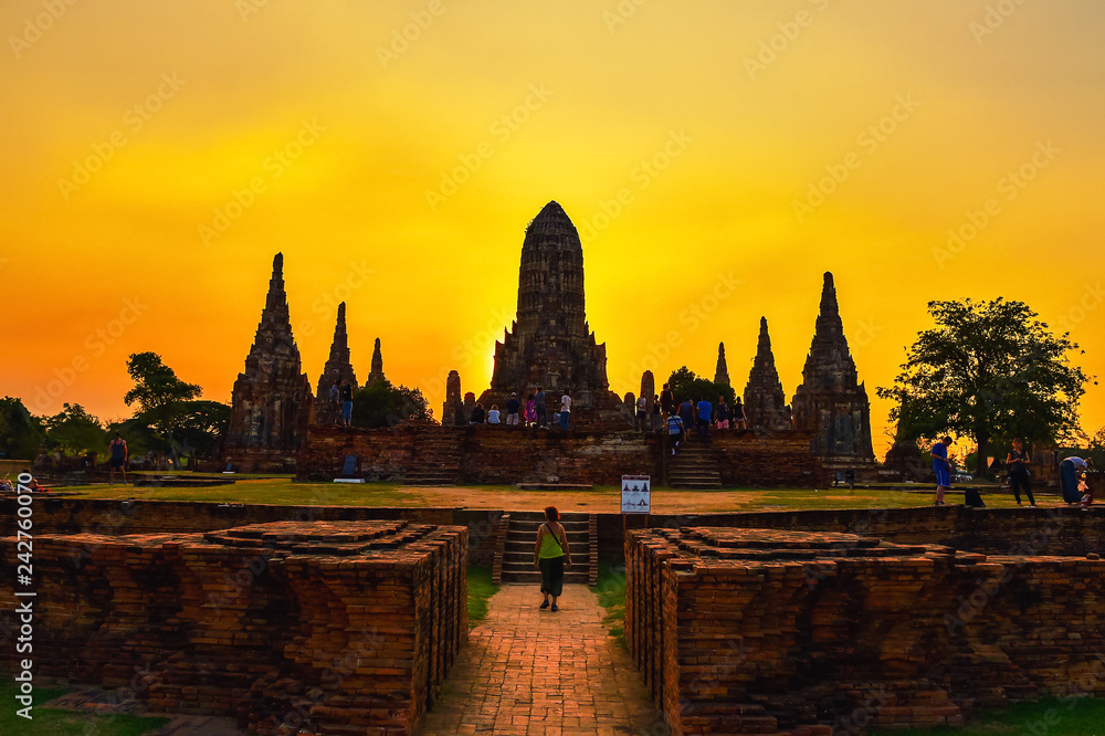 Discover the Magic of Thailand